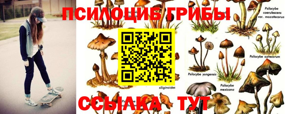 Псилоцибиновые грибы Magic Shrooms Кингисепп