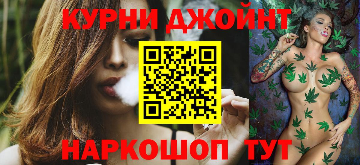 Конопля гибрид Кингисепп